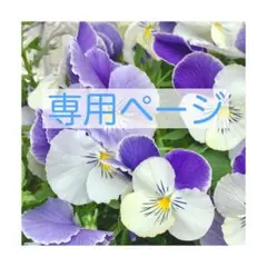 ちっち様 専用ページ♡