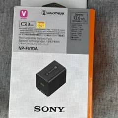 2026年最新】np-fv70a 純正の人気アイテム - メルカリ