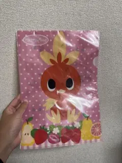 ポケモンタイム アチャモ クリアファイル