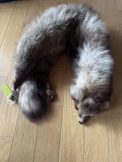 2025年最新】毛皮 タヌキ マフラーの人気アイテム - メルカリ