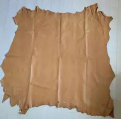 Item thumbnail for item b900385d-dcea-4ff5-bed3-02eded205840