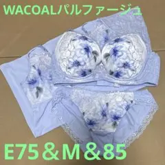 値引きします！WACOALパルファージュ　ブラショーキャミset