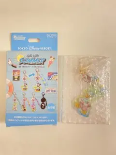 キーチェーン　ミッキーマウスと仲間たち　ドナルド　ディズニーシーのサムネイル