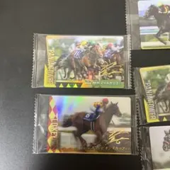 サラブレッドホースコレクション第4R 11枚セット
