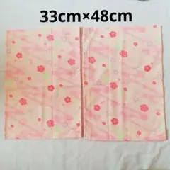 Item thumbnail for item acb17b61-68db-4ab7-90f2-a841e51f2472