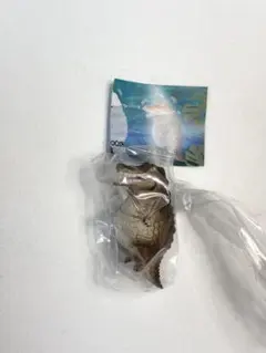 カプセルトイ フィギュア ワニ
