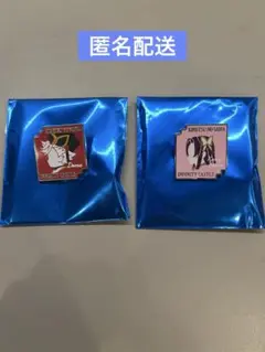【未使用】【匿名配送】鬼滅の刃 キャラクターモチーフピンズ 無限城 童磨 カナエ