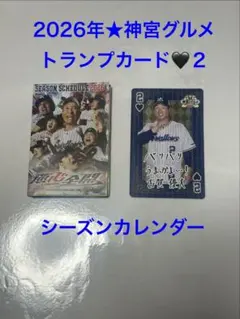 SARA様 リクエスト 2点 まとめ商品