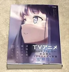 透明な夜に駆ける君と、目に見えない恋をした。 着せ替えカバー付き