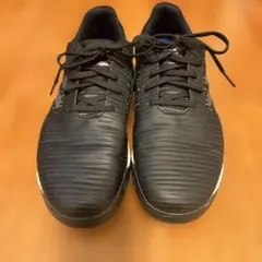 Item thumbnail for item e26ca4b9-109f-4bff-aefa-294ead22955a