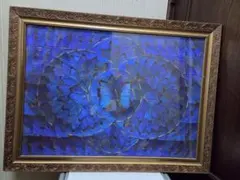 ブルーモルフォ蝶 飾り額 バタフライアート 蝶画 蝶額 標本？羽根細工