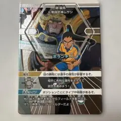 イナズマイレブンカード