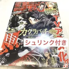 新品 週刊少年ジャンプ 2026年24号 1冊 カグラバチ☆汚れ防止フィルム