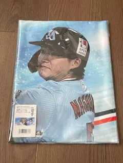 Item thumbnail for item e806f7b9-5ac3-4572-8cc8-15aa164b6356