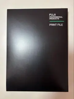 Item thumbnail for item 4aa781a6-48a6-4f39-9d6a-d6b5b312f1f2