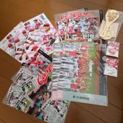 広島東洋カープクリアファイル✕８枚　勝ち勝ちしゃもじ　℃℃℃缶バッジ２個