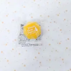 ツキウタ。 ムンフェス 長月夜 リングライト