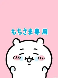 もちさま専用です♡♡