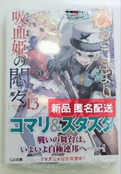 ひきこまり吸血姫の悶々 13