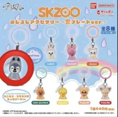 skzoo めじるしアクセサリー雲プレート ガチャガチャ スキズ