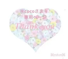 ＊cocoさま専用ページ＊ ワイヤーアート Always be yourself