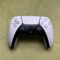 PS5 PS4 ワイヤレスコントローラー 2点セット 訳あり