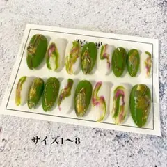 no30現品●ネイルチップ　ミラーネイル　ニュアンス　個性派　緑　アーモンド