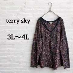 即日発送‼︎terry sky【3L〜4L】花柄 Vネック 長袖のサムネイル