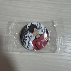 ハイキュー 黒尾鉄朗 くら寿司 ビッくらポン 缶バッジ