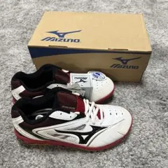 【新品】MIZUNO ウエーブファングVS2 バドミントンシューズ 24cmのサムネイル
