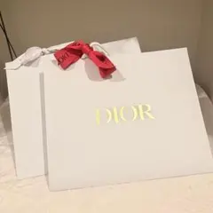 ディオールショッパー2枚
