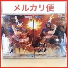 ワンピース 戦光絶景 ブロギー ドリー フィギュア ２種セット
