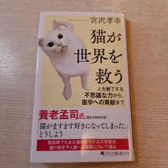 猫が世界を救う 宮沢