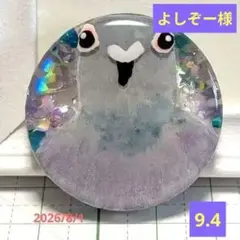 よしぞー様　9.4 鳩　レジンヘアゴム　ギラギラの胸　正面アップ よしぞー様 9.4 鳩 レジンヘアゴム ギラギラの胸 正面アップ - メルカリ