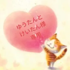 ゆうたんけいたん様 リクエスト 2点 まとめ商品