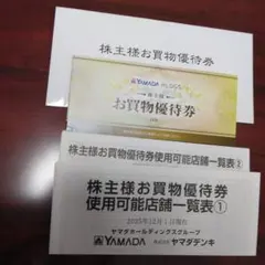 ヤマダホールディングス 株主優待券