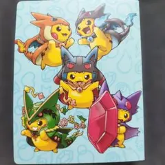 貴重　ポケモンセンター メガキャンペーンファイル