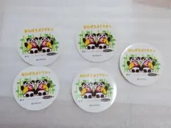 Item thumbnail for item 131dea2e-df46-4840-b669-5e3855bb592e