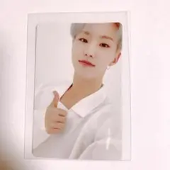 SEVENTEEN 舞い落ちる花びら CARAT盤 トレカ ホシ