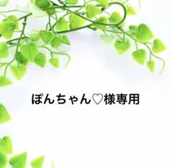 北海道産 紫陽花ドライフラワー T12 45 お試しサイズ - メルカリ