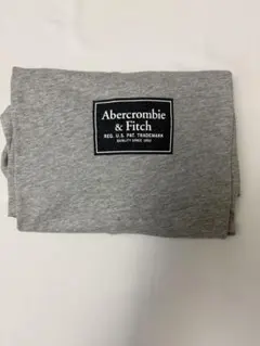 Abercrombie & Fitch Tシャツ グレー XL