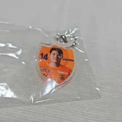清水エスパルス めじるしキーホルダー 14 SEUNGWOOK