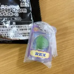 トイストーリー パッケージチャーム レックス　REX キーホルダー