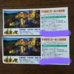 湯楽の里　入浴券　6枚　平日限定です