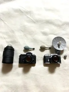 タイムスリップグリコ 第2弾 ニコンF カメラ 2点セット シークレット含む