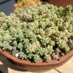 Honobono yukko様 リクエスト 4点 まとめ商品