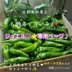 ジュエル♡様⭐️専用ページです♪のサムネイル