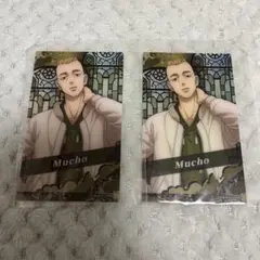 東リべ 武藤泰宏 ムーチョ オーロラカードコレクション 東京リベンジャーズ