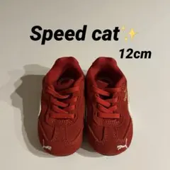スピードキャット