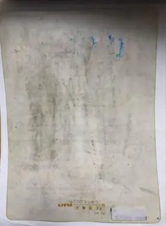 しろいぬ様専用の品物です